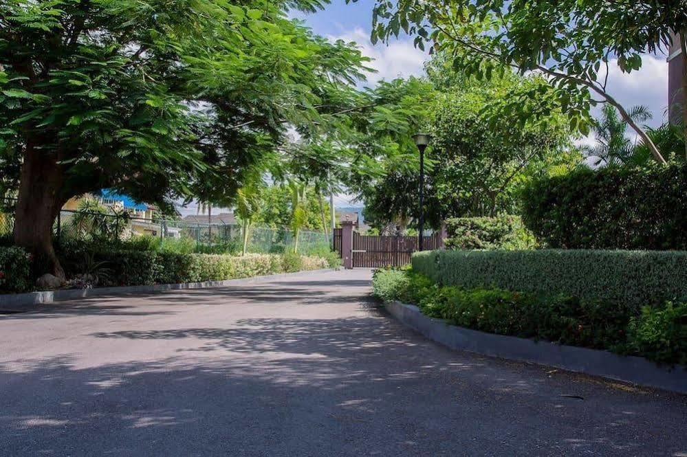 New Kingston Guest Apt At Sonoma Estate Εξωτερικό φωτογραφία